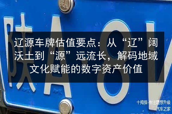 辽源车牌估值要点：从“辽”阔沃土到“源”远流长，解码地域文化赋能的数字资产价值 第3张