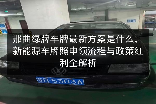 那曲绿牌车牌最新方案是什么，新能源车牌照申领流程与政策红利全解析