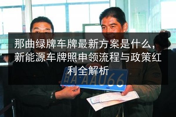 那曲绿牌车牌最新方案是什么,新能源车牌照申领流程与政策红利全解析 第3张 那曲绿牌车牌最新方案是什么,新能源车牌照申领流程与政策红利全解析 第3张