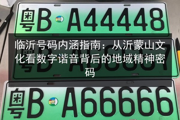 临沂号码内涵指南：从沂蒙山文化看数字谐音背后的地域精神密码