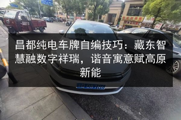昌都纯电车牌自编技巧：藏东智慧融数字祥瑞，谐音寓意赋高原新能