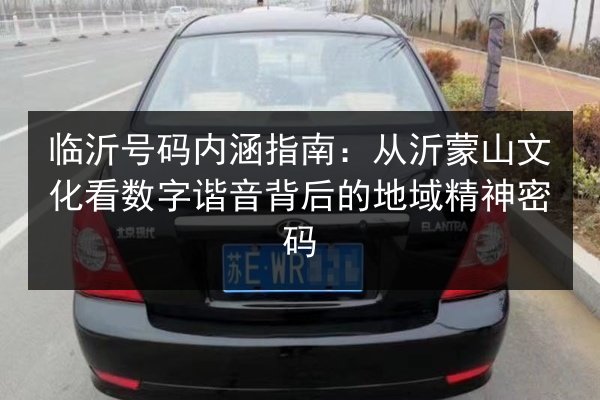 临沂号码内涵指南：从沂蒙山文化看数字谐音背后的地域精神密码 第2张