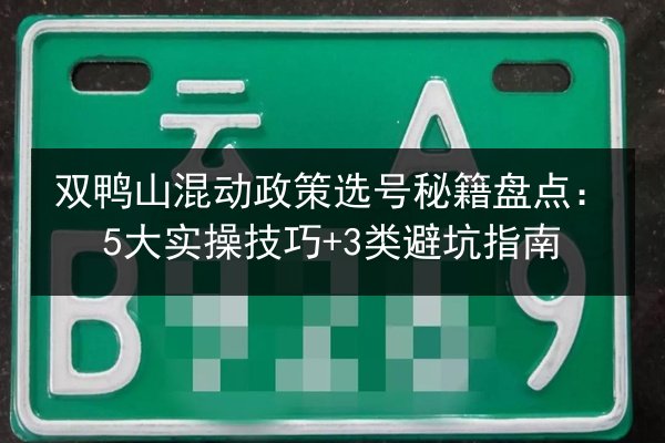 双鸭山混动政策选号秘籍盘点：5大实操技巧+3类避坑指南 第3张
