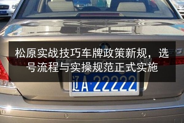 松原实战技巧车牌政策新规，选号流程与实操规范正式实施 第2张