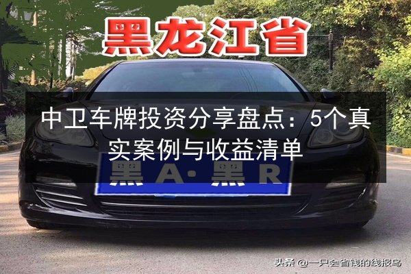 中卫车牌投资分享盘点：5个真实案例与收益清单