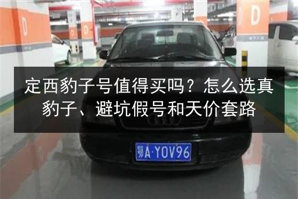 定西豹子号值得买吗？怎么选真豹子、避坑假号和天价套路