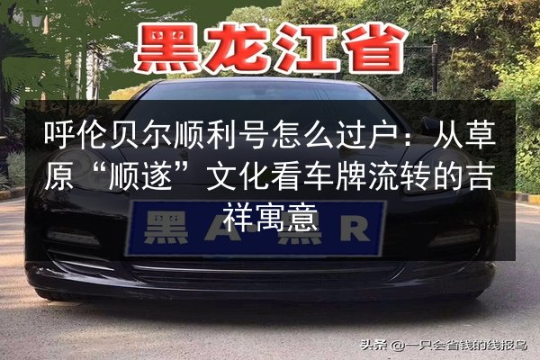 呼伦贝尔顺利号怎么过户：从草原“顺遂”文化看车牌流转的吉祥寓意 第2张