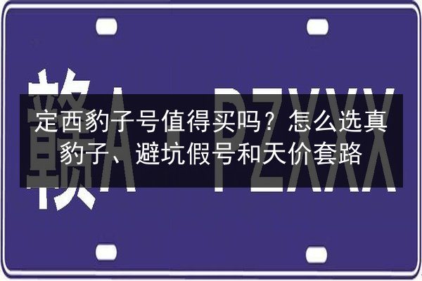 定西豹子号值得买吗？怎么选真豹子、避坑假号和天价套路 第3张