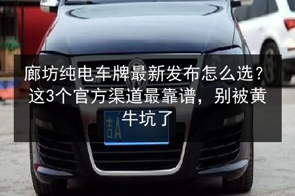 廊坊纯电车牌最新发布怎么选？这3个官方渠道最靠谱，别被黄牛坑了