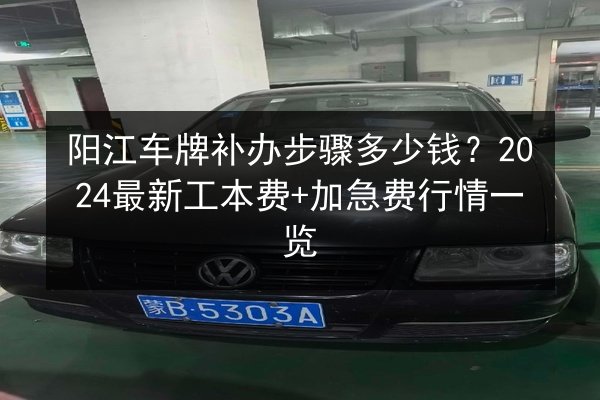 阳江车牌补办步骤多少钱？2024最新工本费+加急费行情一览