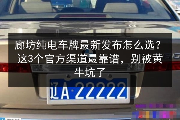 廊坊纯电车牌最新发布怎么选?这3个官方渠道最靠谱,别被黄牛坑了 第2张 廊坊纯电车牌最新发布怎么选?这3个官方渠道最靠谱,别被黄牛坑了 第2张
