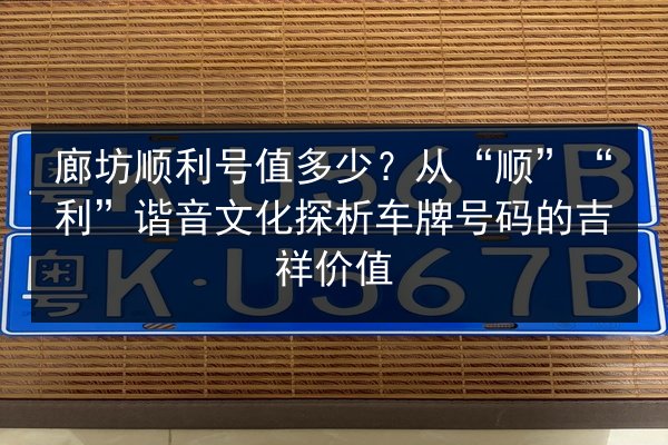 廊坊顺利号值多少?从“顺”“利”谐音文化探析车牌号码的吉祥价值 第3张 廊坊顺利号值多少?从“顺”“利”谐音文化探析车牌号码的吉祥价值 第3张