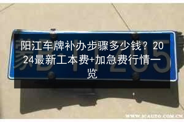 阳江车牌补办步骤多少钱？2024最新工本费+加急费行情一览 第2张