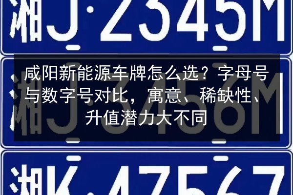 咸阳新能源车牌怎么选?字母号与数字号对比,寓意、稀缺性、升值潜力大不同 第2张 咸阳新能源车牌怎么选?字母号与数字号对比,寓意、稀缺性、升值潜力大不同 第2张