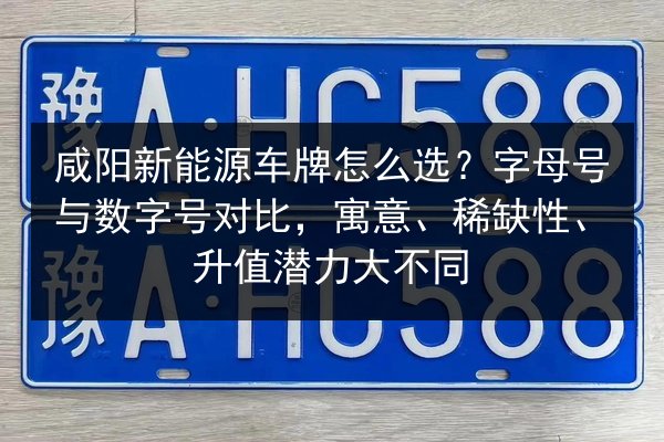 咸阳新能源车牌怎么选?字母号与数字号对比,寓意、稀缺性、升值潜力大不同 第3张 咸阳新能源车牌怎么选?字母号与数字号对比,寓意、稀缺性、升值潜力大不同 第3张