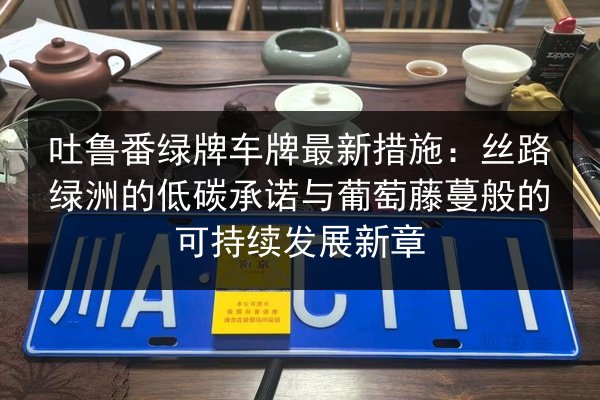 吐鲁番绿牌车牌最新措施：丝路绿洲的低碳承诺与葡萄藤蔓般的可持续发展新章