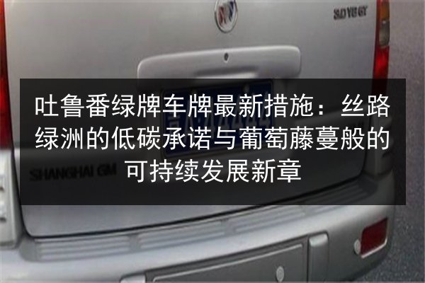 吐鲁番绿牌车牌最新措施:丝路绿洲的低碳承诺与葡萄藤蔓般的可持续发展新章 第3张 吐鲁番绿牌车牌最新措施:丝路绿洲的低碳承诺与葡萄藤蔓般的可持续发展新章 第3张