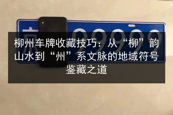 柳州车牌收藏技巧：从“柳”韵山水到“州”系文脉的地域符号鉴藏之道