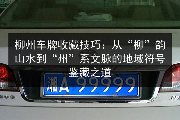 柳州车牌收藏技巧：从“柳”韵山水到“州”系文脉的地域符号鉴藏之道 第2张