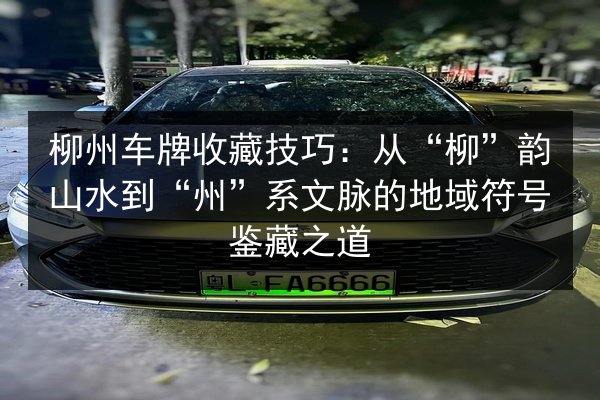 柳州车牌收藏技巧：从“柳”韵山水到“州”系文脉的地域符号鉴藏之道 第3张
