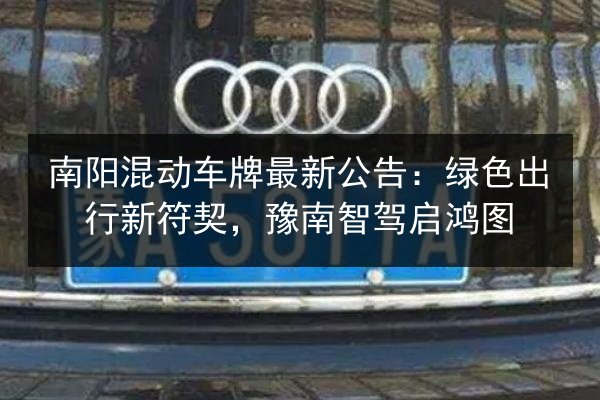 南阳混动车牌最新公告：绿色出行新符契，豫南智驾启鸿图 第3张