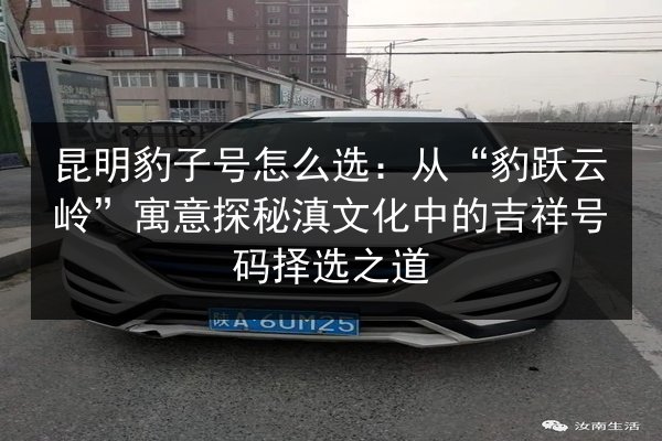 昆明豹子号怎么选：从“豹跃云岭”寓意探秘滇文化中的吉祥号码择选之道
