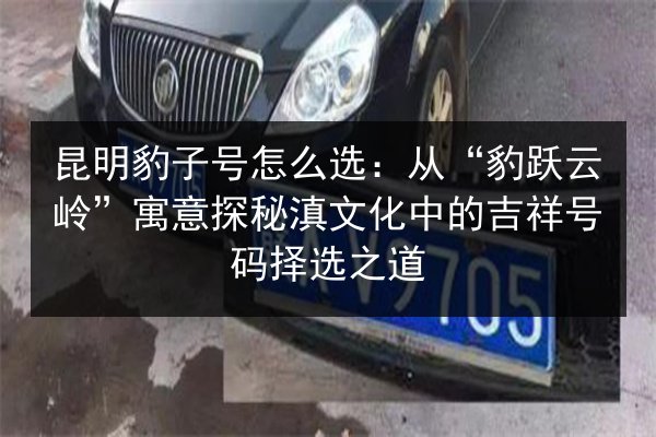 昆明豹子号怎么选：从“豹跃云岭”寓意探秘滇文化中的吉祥号码择选之道 第2张
