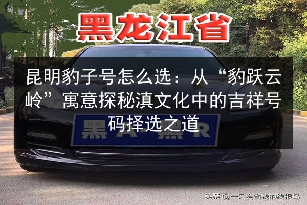 昆明豹子号怎么选：从“豹跃云岭”寓意探秘滇文化中的吉祥号码择选之道 第3张