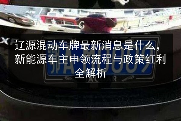 辽源混动车牌最新消息是什么,新能源车主申领流程与政策红利全解析 第2张 辽源混动车牌最新消息是什么,新能源车主申领流程与政策红利全解析 第2张