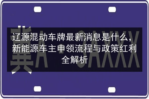 辽源混动车牌最新消息是什么,新能源车主申领流程与政策红利全解析 第3张 辽源混动车牌最新消息是什么,新能源车主申领流程与政策红利全解析 第3张