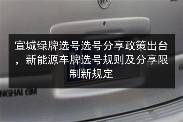 宣城绿牌选号选号分享政策出台，新能源车牌选号规则及分享限制新规定 第2张