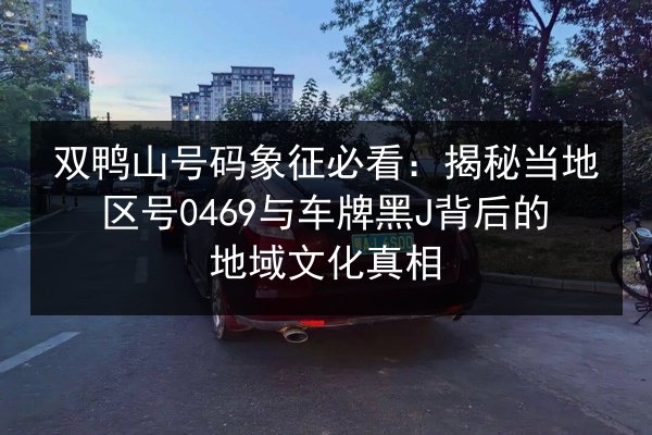 双鸭山号码象征必看：揭秘当地区号0469与车牌黑J背后的地域文化真相 第2张