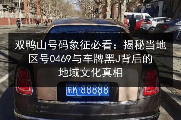 双鸭山号码象征必看：揭秘当地区号0469与车牌黑J背后的地域文化真相 第3张