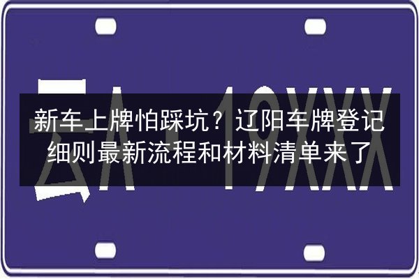 新车上牌怕踩坑？辽阳车牌登记细则最新流程和材料清单来了 第2张