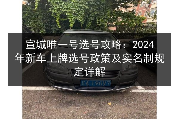 宣城唯一号选号攻略：2024年新车上牌选号政策及实名制规定详解 第3张