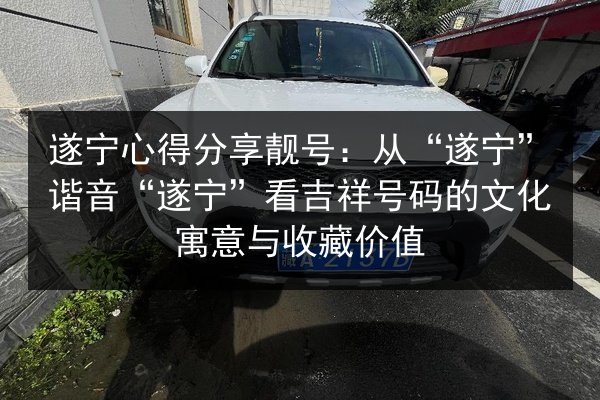 遂宁心得分享靓号：从“遂宁”谐音“遂宁”看吉祥号码的文化寓意与收藏价值