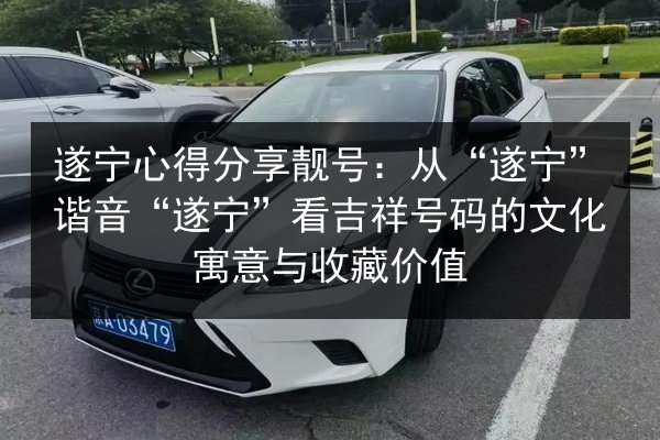 遂宁心得分享靓号:从“遂宁”谐音“遂宁”看吉祥号码的文化寓意与收藏价值 第2张 遂宁心得分享靓号:从“遂宁”谐音“遂宁”看吉祥号码的文化寓意与收藏价值 第2张