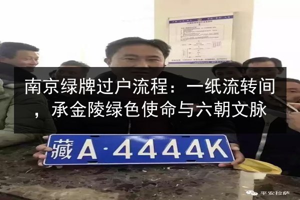南京绿牌过户流程：一纸流转间，承金陵绿色使命与六朝文脉 第3张