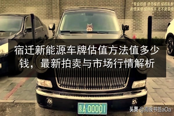宿迁新能源车牌估值方法值多少钱，最新拍卖与市场行情解析 第2张