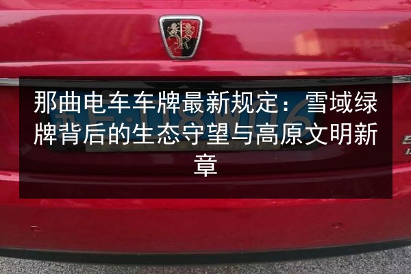 那曲电车车牌最新规定：雪域绿牌背后的生态守望与高原文明新章