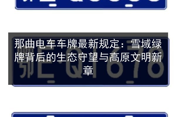 那曲电车车牌最新规定：雪域绿牌背后的生态守望与高原文明新章 第2张