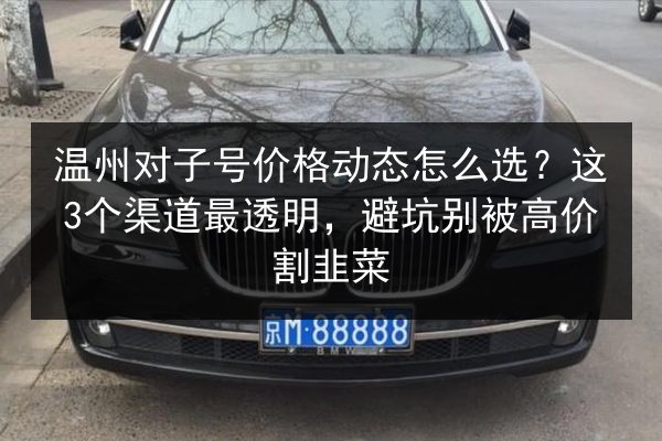温州对子号价格动态怎么选？这3个渠道最透明，避坑别被高价割韭菜 第2张