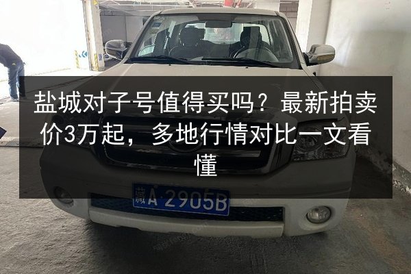 盐城对子号值得买吗？最新拍卖价3万起，多地行情对比一文看懂