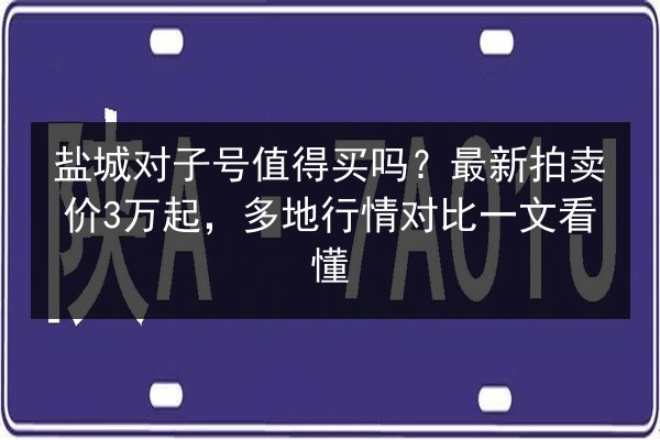 盐城对子号值得买吗？最新拍卖价3万起，多地行情对比一文看懂 第2张