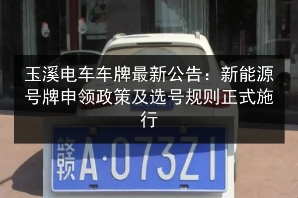 玉溪电车车牌最新公告：新能源号牌申领政策及选号规则正式施行 第2张