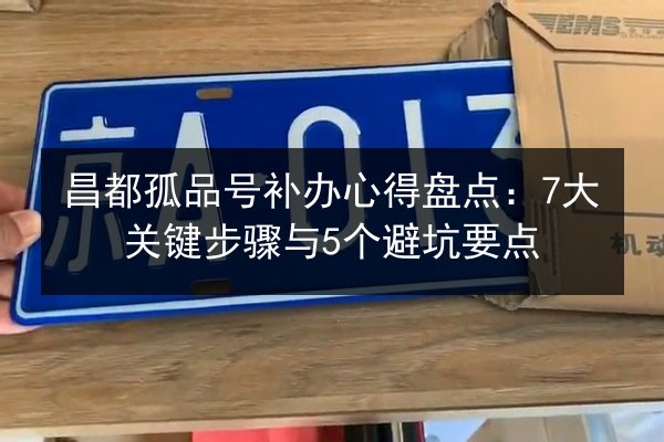 昌都孤品号补办心得盘点：7大关键步骤与5个避坑要点