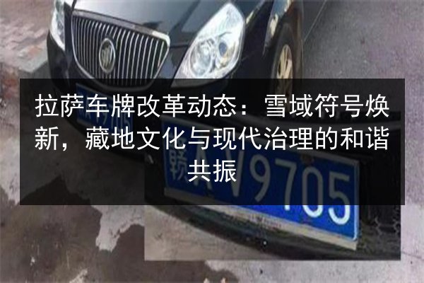 拉萨车牌改革动态:雪域符号焕新,藏地文化与现代治理的和谐共振 第2张 拉萨车牌改革动态:雪域符号焕新,藏地文化与现代治理的和谐共振 第2张