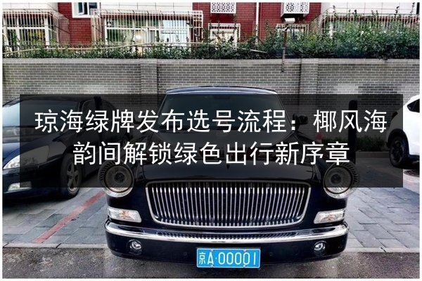 琼海绿牌发布选号流程：椰风海韵间解锁绿色出行新序章