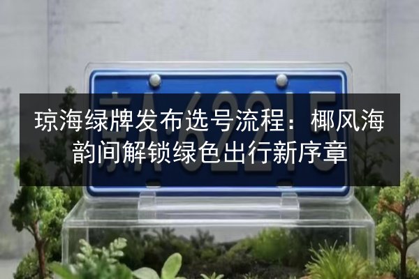 琼海绿牌发布选号流程：椰风海韵间解锁绿色出行新序章 第3张