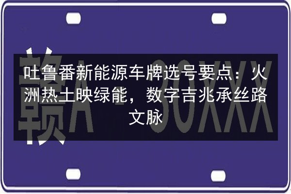 吐鲁番新能源车牌选号要点：火洲热土映绿能，数字吉兆承丝路文脉 第3张